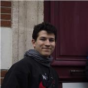 Professeur de mathématiques pour étudiants en lycée/collège/primaire par élève en école d'ingénieur